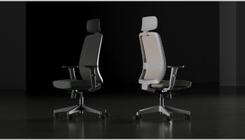 Caderias Diretivas mini